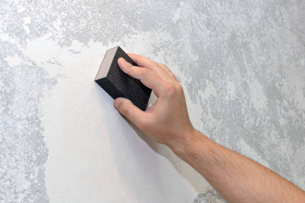 Best Crawl Space Mold Remediation  in Kent, OH