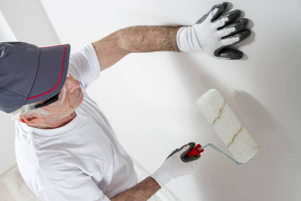 Best Environmental Consulting for Mold Prevention  in Kent, OH
