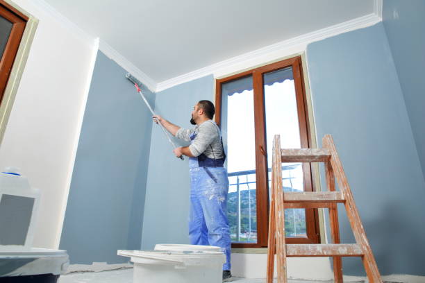 Best Black Mold Removal  in Kent, OH