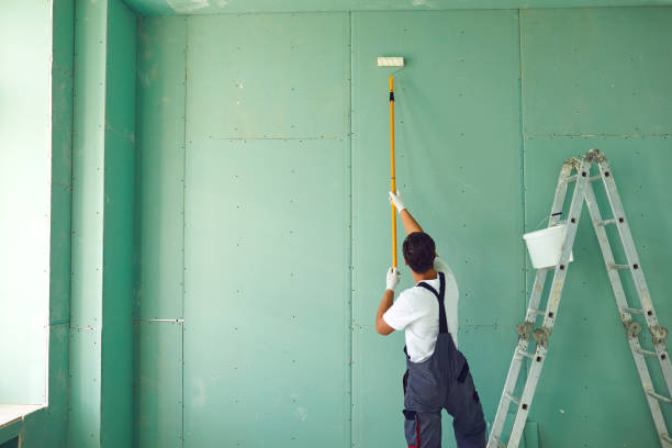 Reliable Kent, OH Mold Removal Solutions