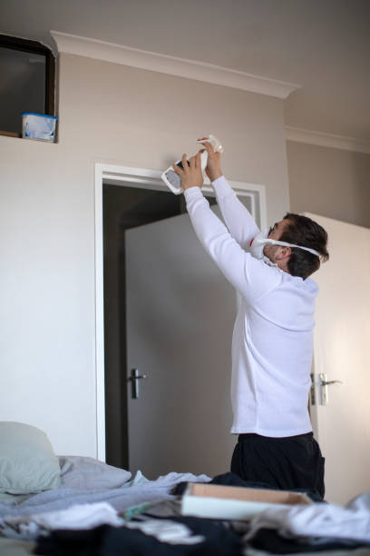 Best Dehumidification Services  in Kent, OH