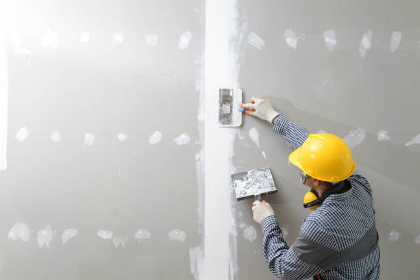 Best Biohazard Mold Removal  in Kent, OH