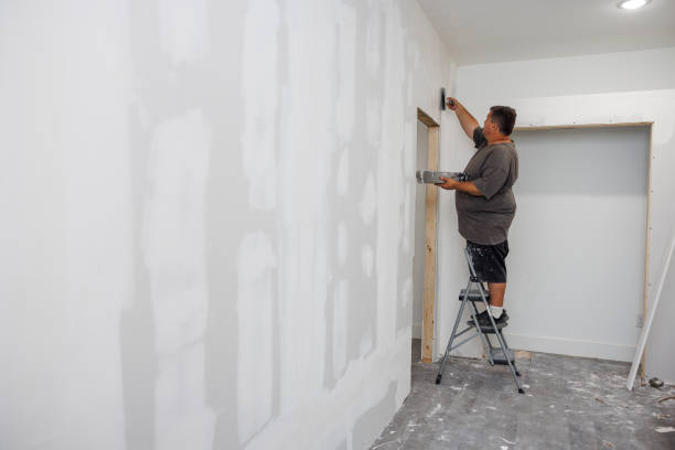 Best Crawl Space Mold Remediation  in Kent, OH