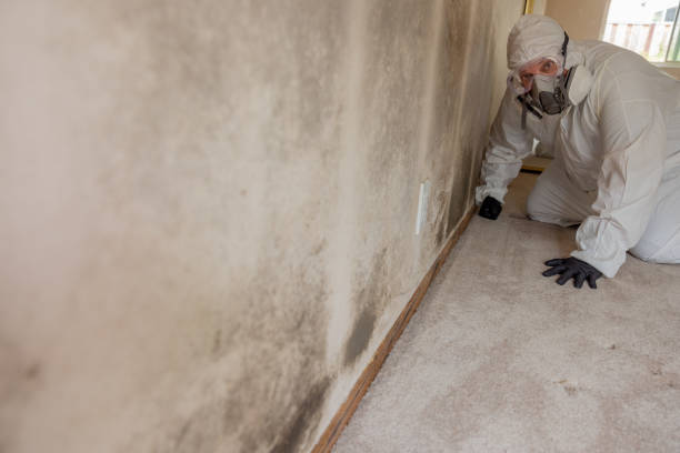 Best Indoor Air Quality Assessment  in Kent, OH